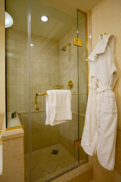 frameless glass shower